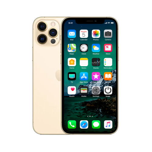 De iPhone 12 Pro Max 256 GB in het kort: ...