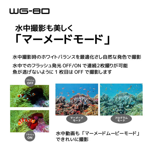 Ontdek de Ricoh WG-80, een krachtige digitale ...