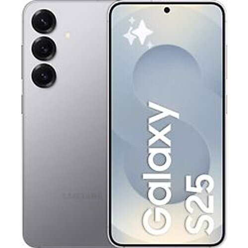 De Samsung Galaxy S25 in de kleur silver shadow ...