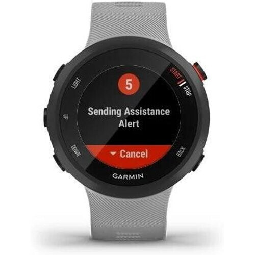 Smart Watch Garmin HR GPS Forerunner 45 Plus - ...