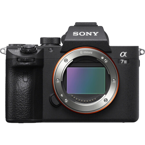 Le Sony A7 III est un appareil photo polyvalent ...