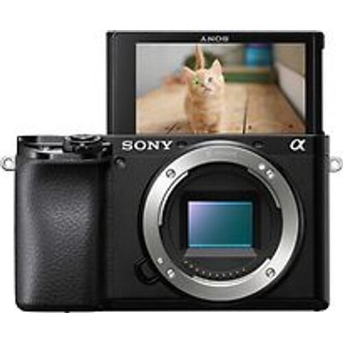 24.2 MP (25 MP Total), APS-C 23.5 x 15.6mm, Exmor ...