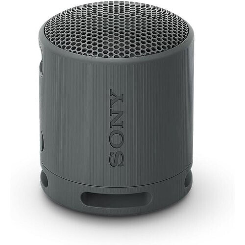 Sony SRS-XB100 Wireless Bluetooth Portable ...