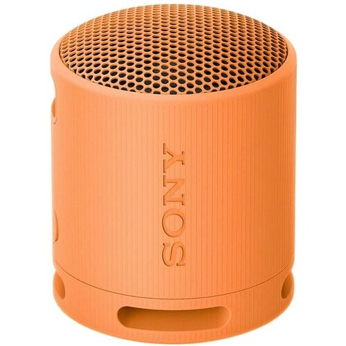 Sony SRS-XB100 Wireless Bluetooth Portable ...