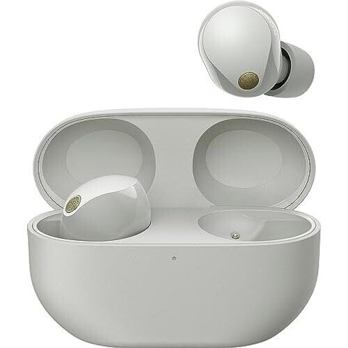 Sony WF1000XM5S.CE7 Earphones - Grey ...