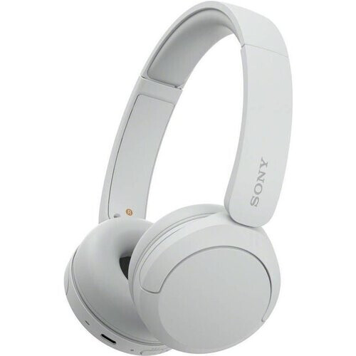 The Sony WH-CH520/W (White) is a lightweight ...