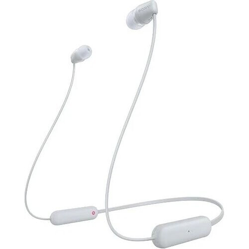 Sony WI-C100 Wireless in-Ear Bluetooth Headphones ...