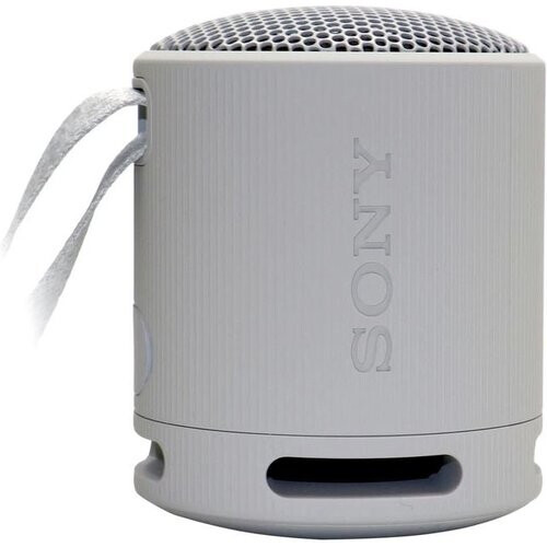 Sony XB100 Portable Waterproof Bluetooth Speaker ...